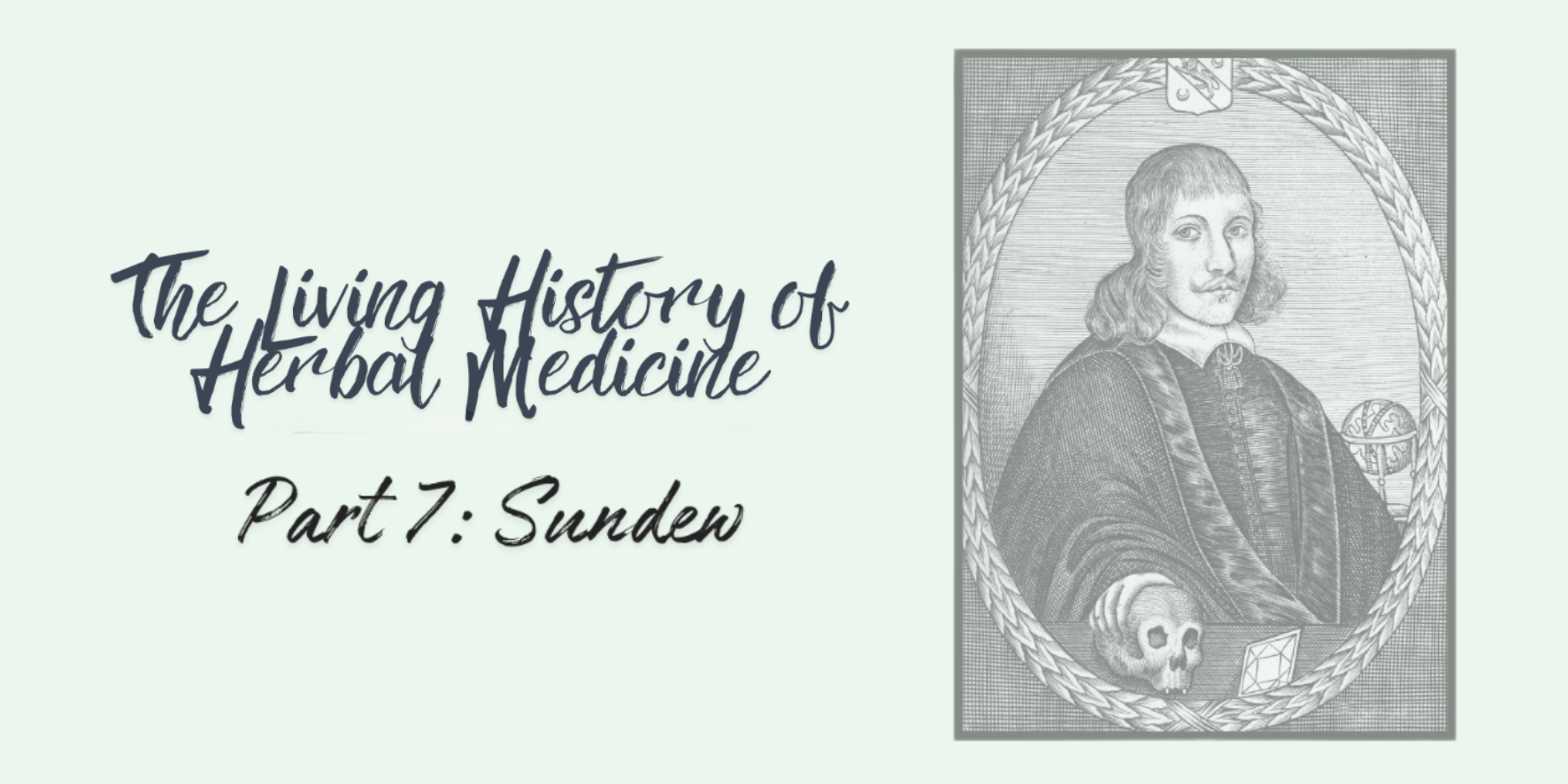 The Living History of Herbal Medicine with Dylan Warren-Davis - Part 7: Sundew The Living History of Herbal Medicine